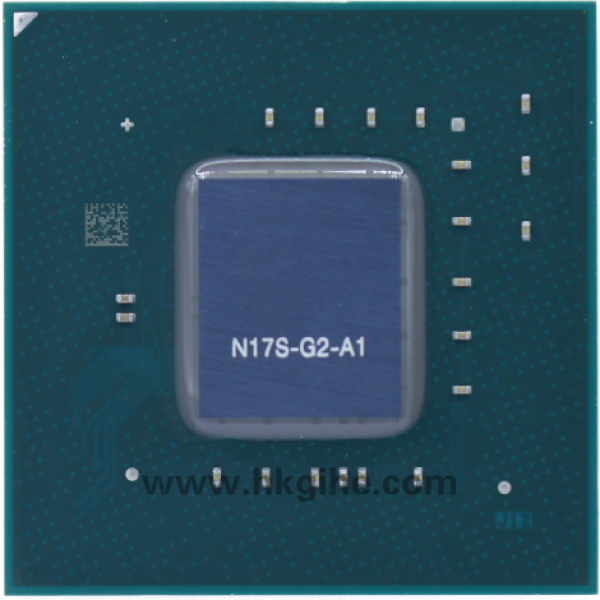 N17S-G2-A1